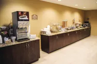 Microtel Inn & Suites by Wyndham Mineral Wells/Parkersburg - breakfast