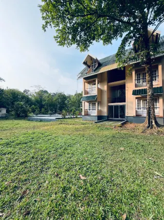 維蒂裏格林斯度假村