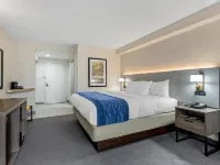 Comfort Inn Herndon-Reston Hotels in Dranesville