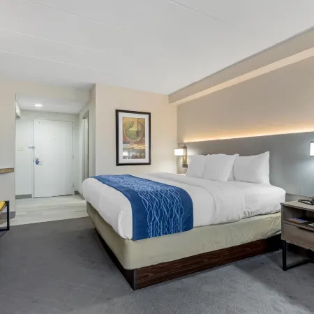 Comfort Inn Herndon-Reston