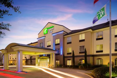 Holiday Inn Express & Suites DFW AIRPORT - GRAPEVINE by IHG