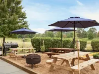 Microtel Inn & Suites by Wyndham Culpeper Hotels in Culpeper