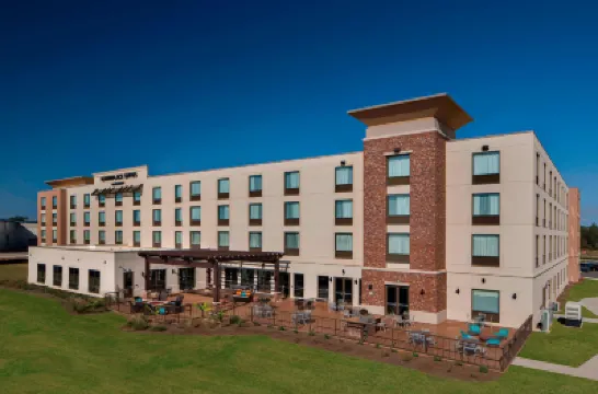 TownePlace Suites Foley at Owa Hotels in Foley