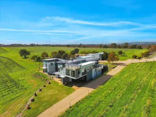 Hotel California Road at Inkwell Wines - Homestays