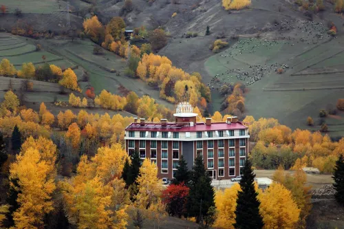 Black Forest Hotel - Wifi