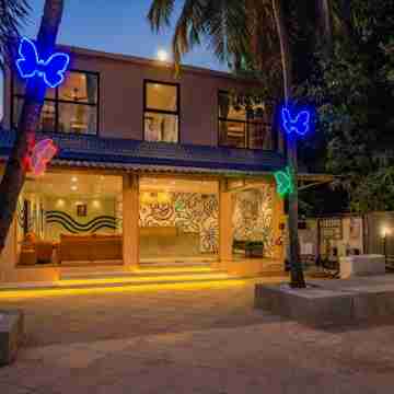 Zostel Goa, Morjim Hotel Exterior