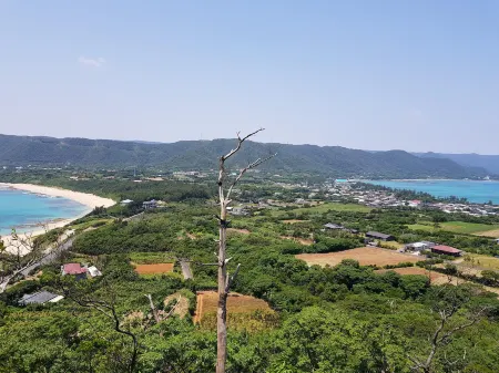 Tebiro BeachBackpackers Отели в г. Тацуго