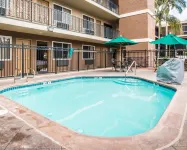 Quality Inn & Suites Anaheim Maingate - مسبح