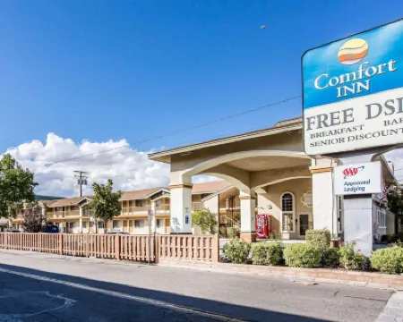 Comfort Inn Bishop Hotels in Bishop