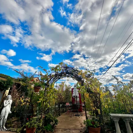 Chardonnay Lodge