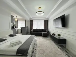 Scandinavian style studio