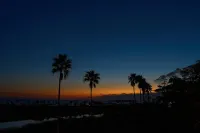 Aoshima Picnic Club - Beach