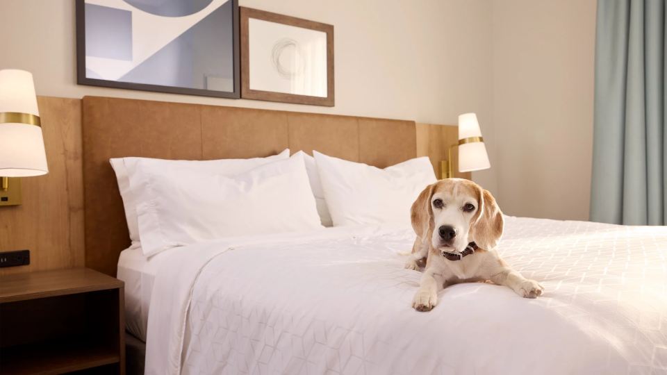 Staybridge Suites NEWCASTLE by IHG