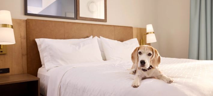 Staybridge Suites NEWCASTLE by IHG Hotéis em Newcastle Upon Tyne