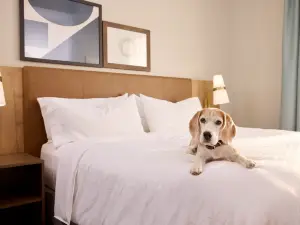 Staybridge Suites NEWCASTLE by IHG