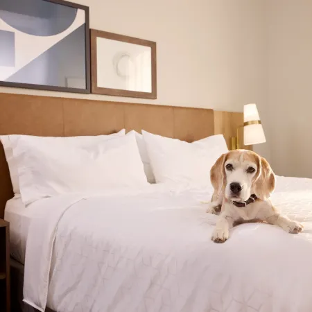 Staybridge Suites NEWCASTLE by IHG