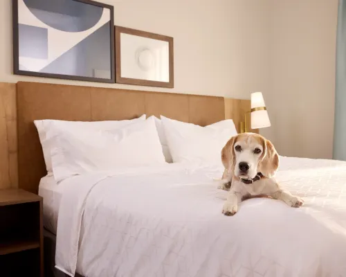 紐卡斯爾 Staybridge Suites 杰斯蒙德附近的飯店