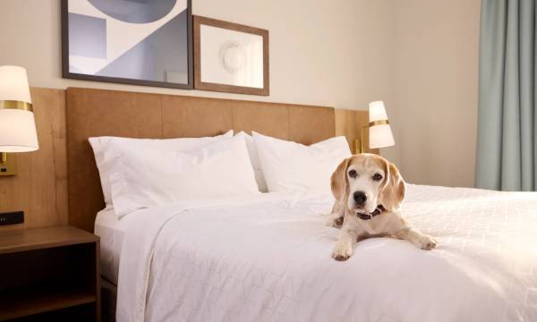 Staybridge Suites Newcastle by IHG
