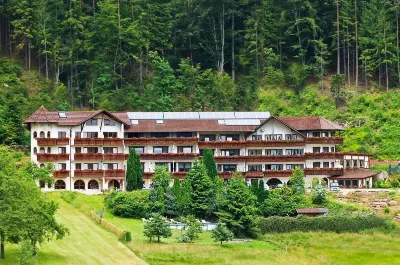 Landhotel Basler Hof فنادق في Tennenbronn