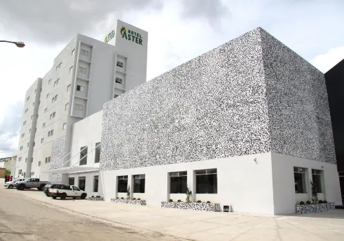 Hotel Áster - salle de sport
