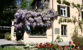 Lugano Savosa Youth Hostel
