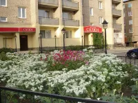 Salyut on Shkolnaya Street, 4 Hotels in Orsk
