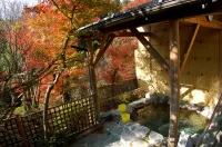 Sawatari Onsen Miyataya Ryokan - balneario