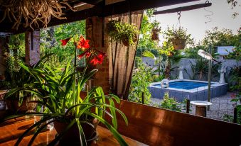 Ebonymoon Guest House