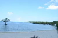 椰子海灘度假村 - 度假村
