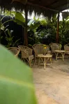 Banana Bunks Mirissa - Hostels