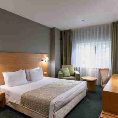 Eurasia Business Hotel Tyumen Rooms