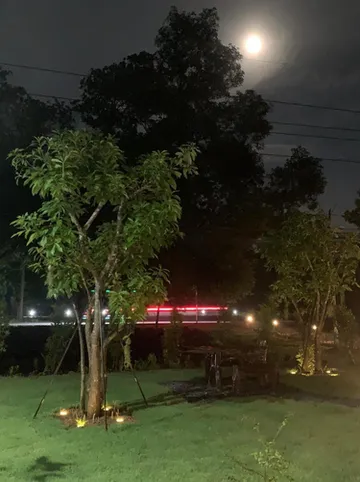 รูปภาพของบ้านแม่รีสอร์ท ท่าชนะ สุราษฎร์ธานี Baanmae Resort Thachana Suratthani