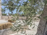 Masseria Fanizzi Hotels in Conversano