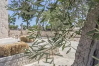 Masseria Fanizzi Hotels in Conversano