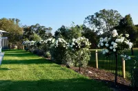 Beltana Villas Hôtels à proximité de : Tyrrell's