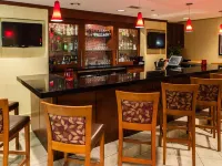 亞特蘭大機場希爾頓逸林酒店 - 酒吧