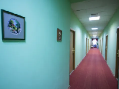 Koshkin Dom Hotel Hotels in Myshkin