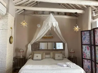 Apartamentos Luna Suites Palacio Almagra Hotels in 