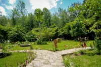 Fravan Eco Resort Hotel di 