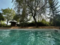 Logis Hôtel le Dahu - Pools