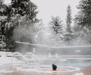 Adara Hotel - Pools