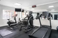 Holiday Inn & Suites SAN MATEO-SAN FRANCISCO SFO by IHG - spa