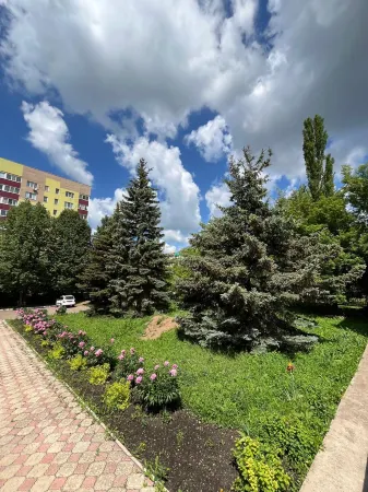 Фаворит (бывш. Оазис)