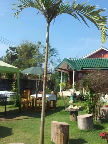 รูปภาพของเชียงคานกรีนวิวรีสอร์ท