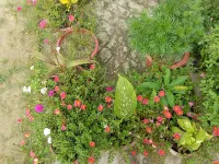 Atithi Home Stay and Cloud Kitchen - Homestays