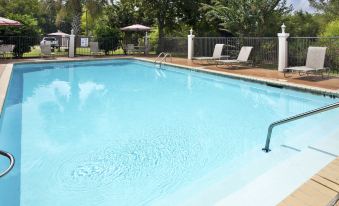 Holiday Inn Express Breaux Bridge/Henderson