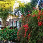 아시아텔 호텔 스타 로사 라구나