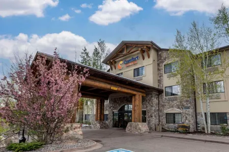 Comfort Suites Golden West on Evergreen Parkway Отели рядом с достопримечательностью «Маунт Голиат Нэчурал Арея»