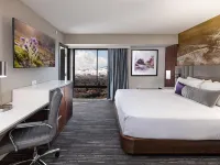 J Resort Hotels in Washoe County