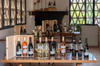 Tenuta Sovestro - Barer